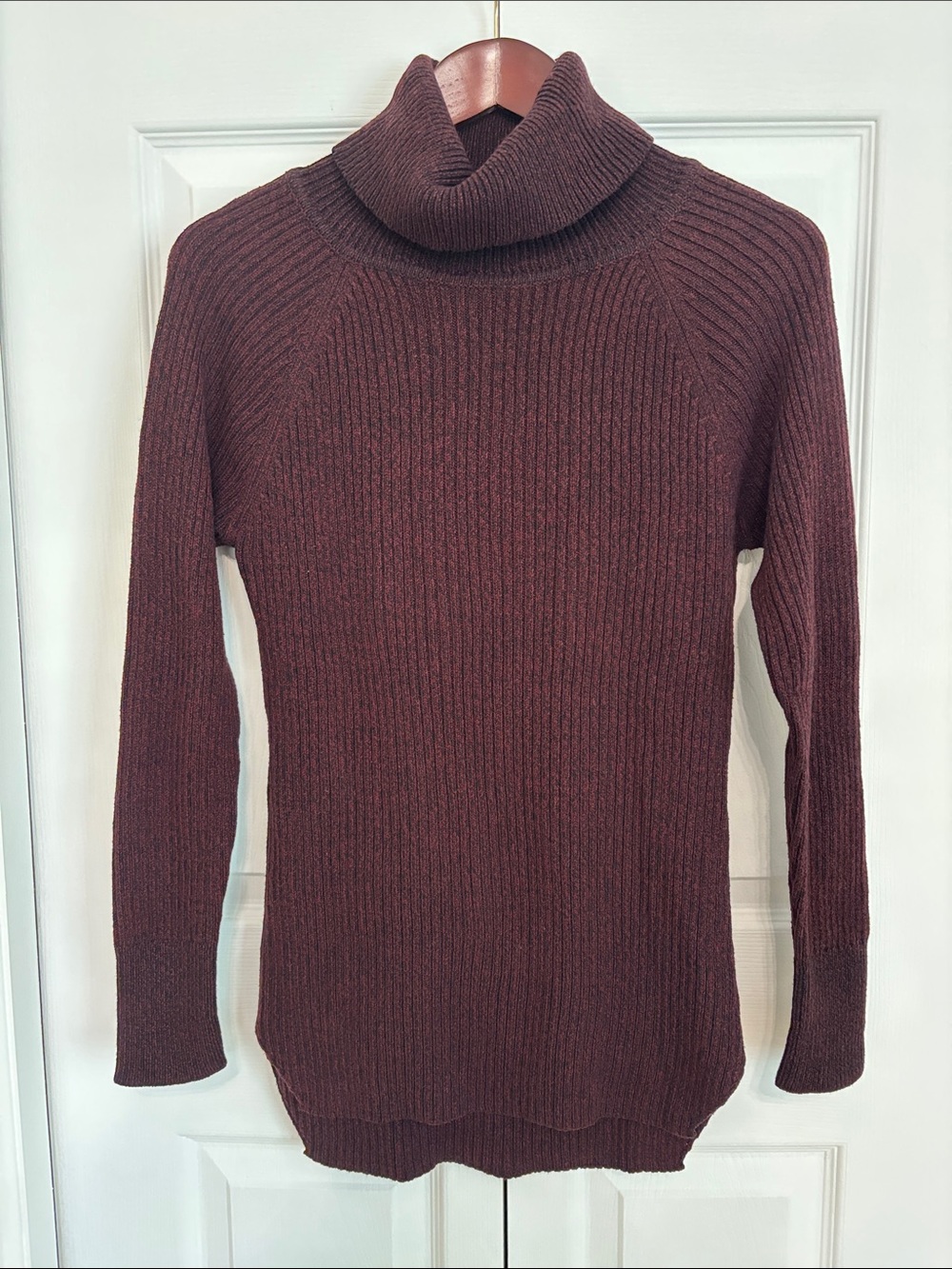 cloth Brand Turtleneck Tunic Sweater